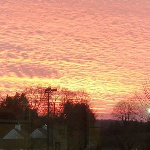 Meet your Posher, Deanna